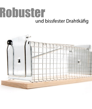 BigDean Lebendfalle Maus auch als Rattenfalle lebend geeignet – Mäusefalle tierfreundlich & wiederve 2