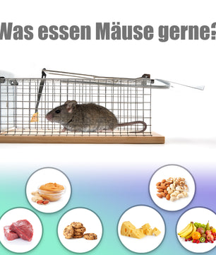 BigDean Lebendfalle Maus auch als Rattenfalle lebend geeignet – Mäusefalle tierfreundlich & wiederve 6