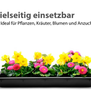 Pflanzschale 59x39x6 cm ideal als Pflanzwanne, Katzenklo & Ölwanne geeignet 4