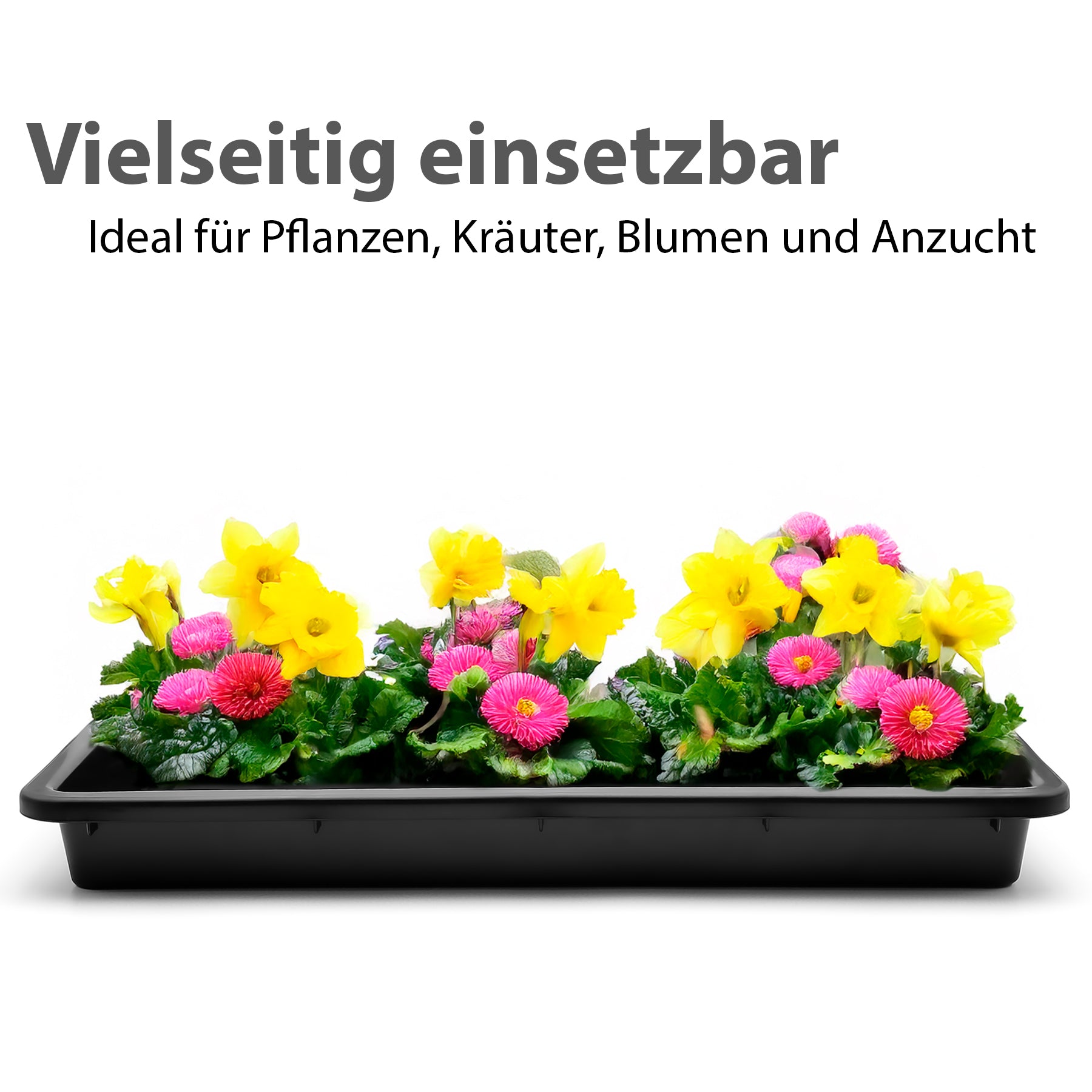 BigDean 2 Stück Pflanzschale 59x39x6 cm ideal als Pflanzwanne, Katzenklo & Ölwanne geeignet 4
