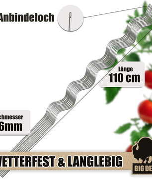 Tomatenspiralstäbe 10 Pflanzstäbe Tomaten 110cm verzinkt 3