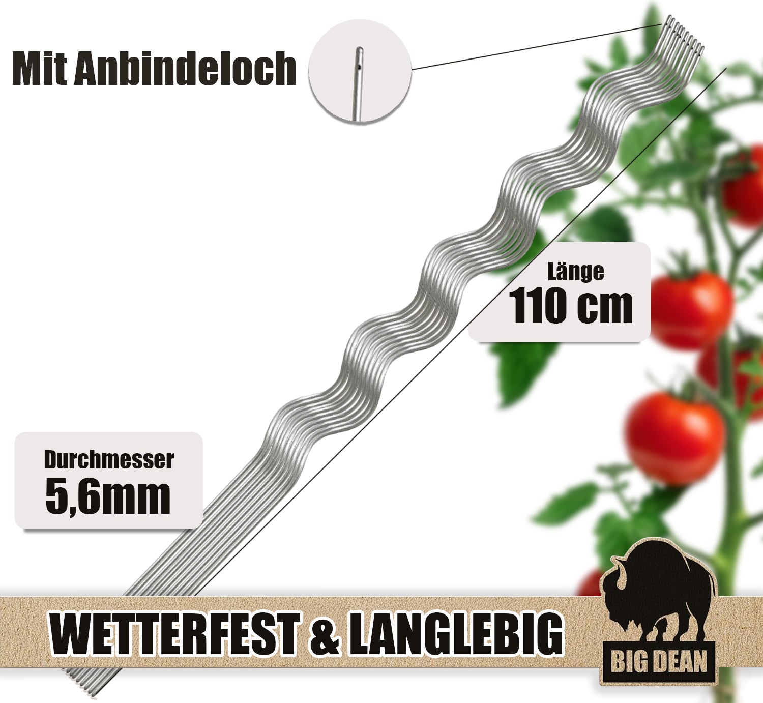 Tomatenspiralstäbe 10 Pflanzstäbe Tomaten 110cm verzinkt 3