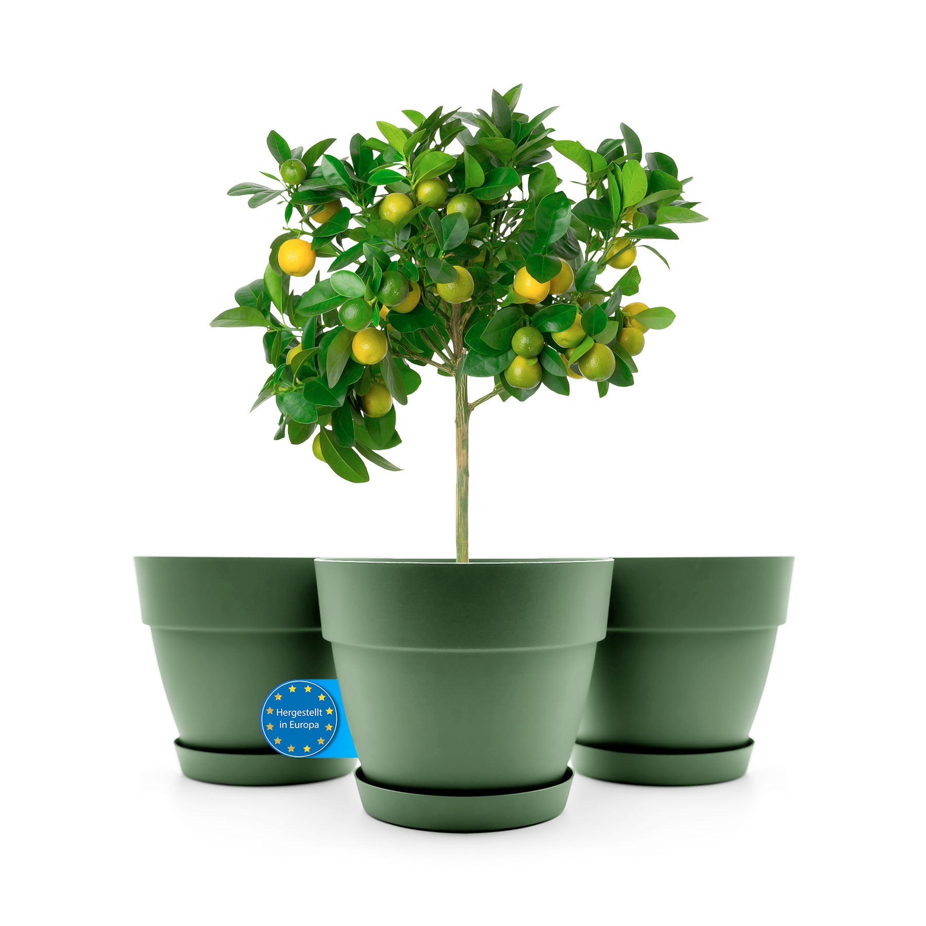 BigDean 3 Stück Blumentopf mit Untersetzer rund ø47 cm in Olivgrün – Übertopf innen + außen geeignet – aus bruchsicherem Kunststoff & Made in Europe
