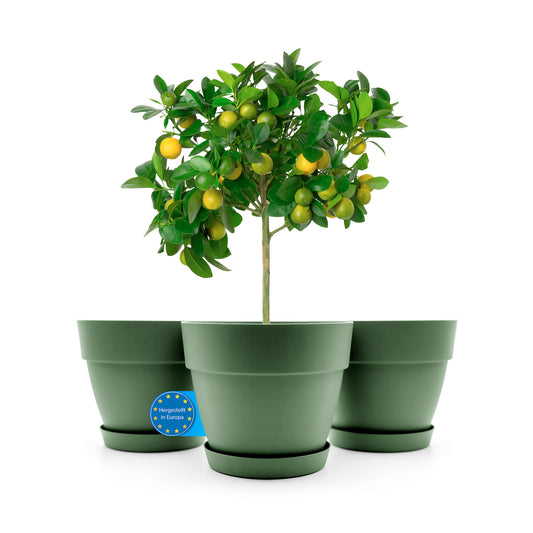 BigDean 3 Stück Blumentopf mit Untersetzer rund ø47 cm in Olivgrün – Übertopf innen + außen geeignet – aus bruchsicherem Kunststoff & Made in Europe
