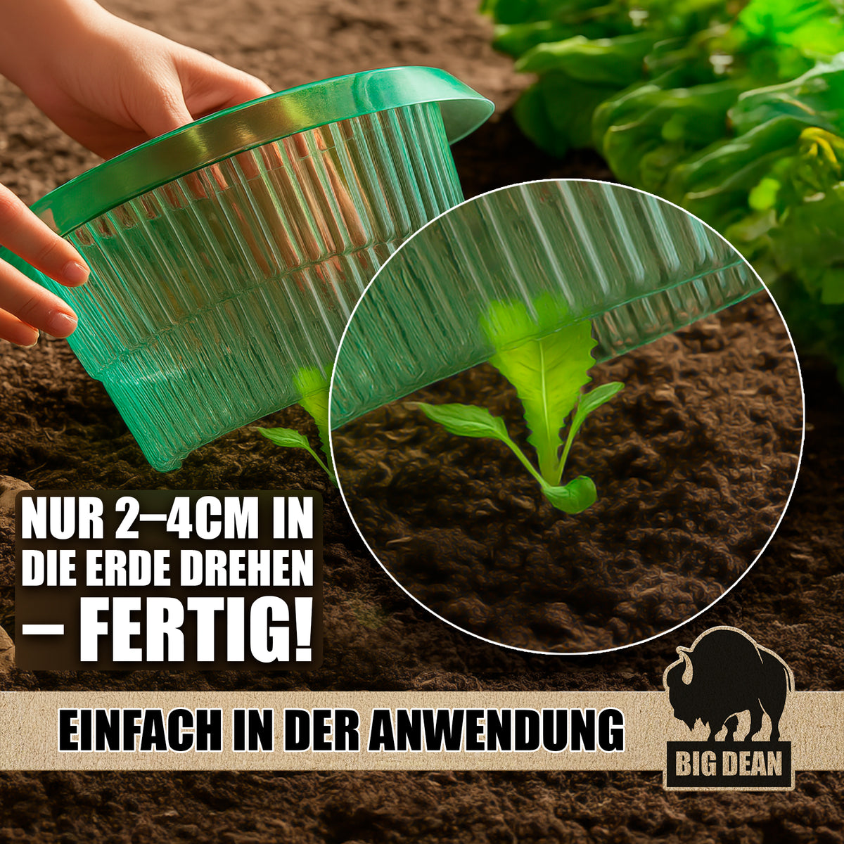 Schneckenkragen 12x Verstärkter Schneckenschutzring Bio Schneckenabwehr Schneckenschutz Ring wiederverwendbarer Schnecken Stopp image 3