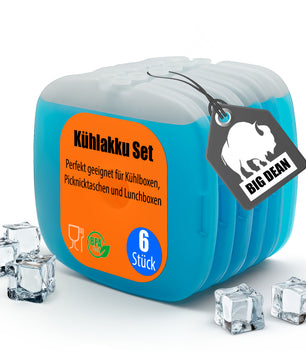 6 Stück Kühlakkus ideal für Kühltasche, Kühlboxen & Brotdosen
