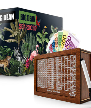 Spardose mit Ziel 3000€ aus Holz – Sparbox mit Geschenkverpackung