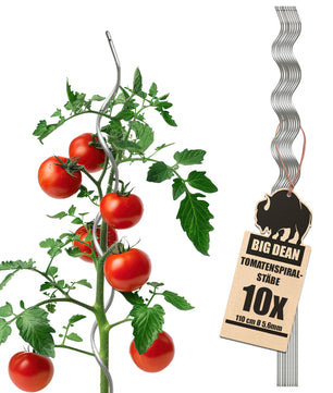 Tomatenspiralstäbe 10 Pflanzstäbe Tomaten 110cm verzinkt