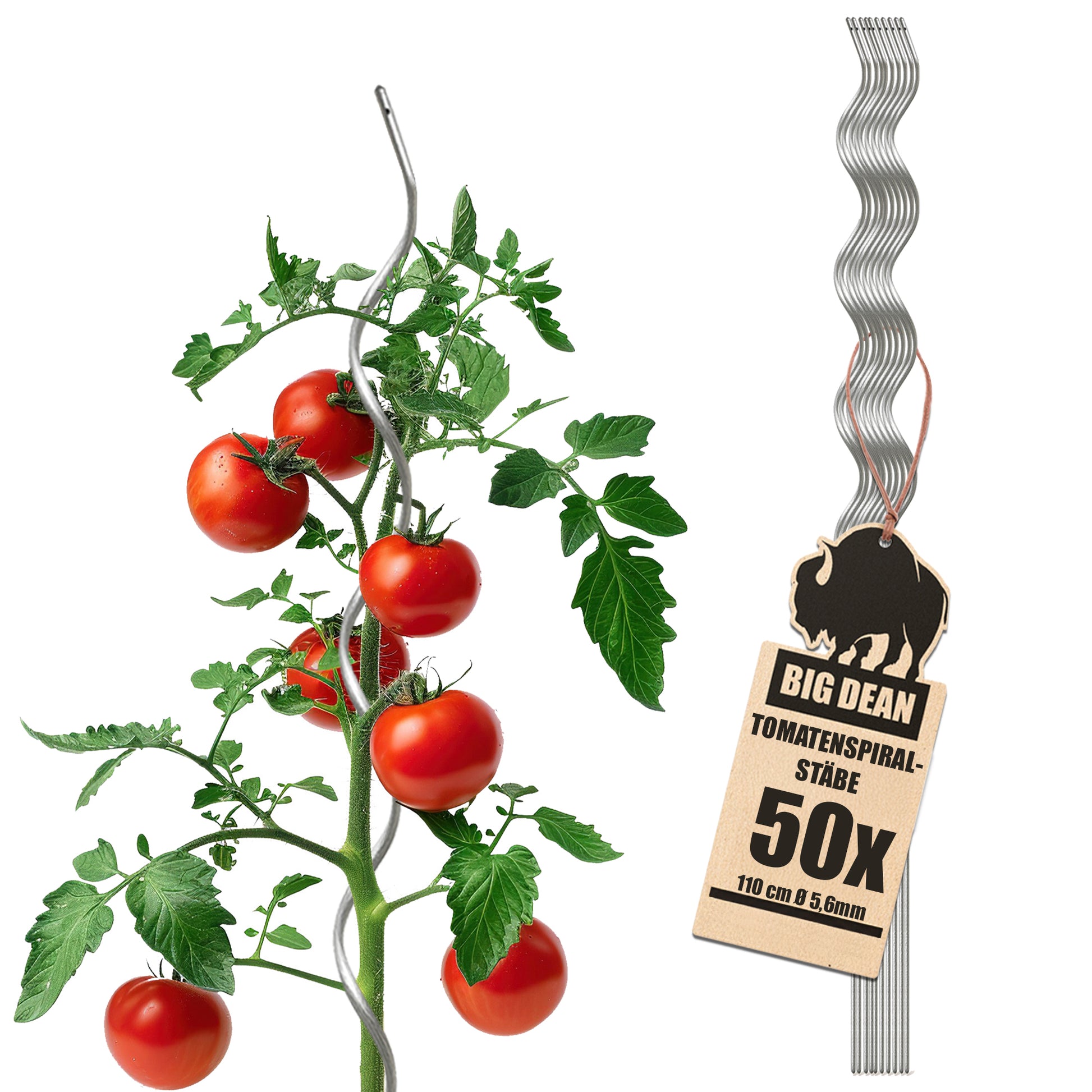 Tomatenstäbe 50 Stück 110cm Tomatenspiralstab verzinkt