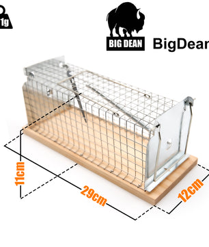 BigDean Lebendfalle Maus auch als Rattenfalle lebend geeignet – Mäusefalle tierfreundlich & wiederve 3