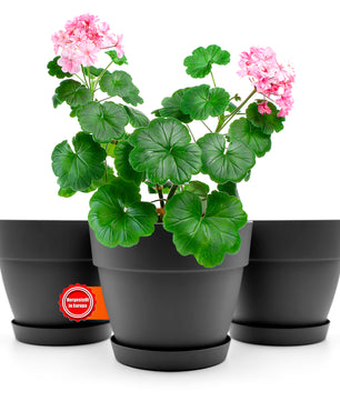 3 Stück Blumentopf mit Untersetzer rund ø25 cm in Anthrazit – Übertopf innen + außen