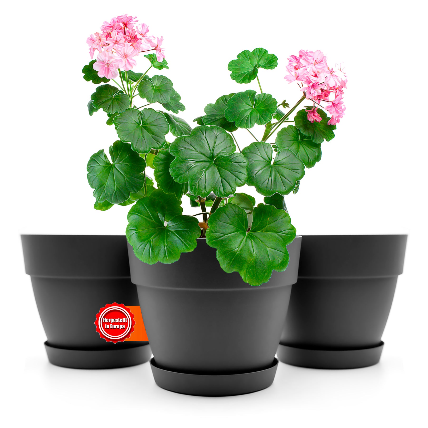 3 Stück Blumentopf mit Untersetzer rund ø25 cm in Anthrazit – Übertopf innen + außen