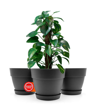 3 Stück Blumentopf mit Untersetzer rund ø35 cm in Anthrazit – Übertopf innen + außen geeignet – aus bruchsicherem Kunststoff & Made in Europe