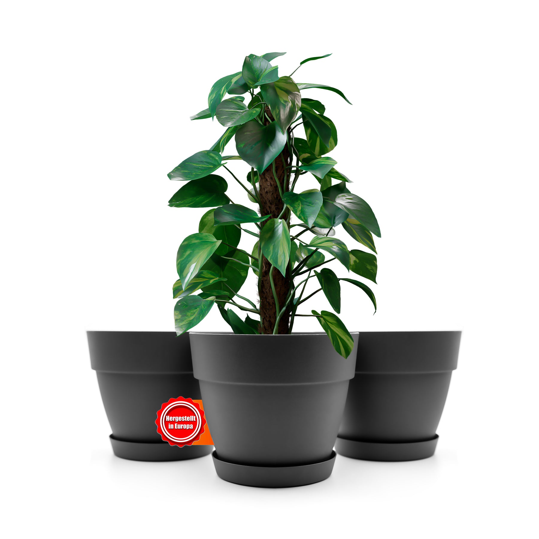 3 Stück Blumentopf mit Untersetzer rund ø35 cm in Anthrazit – Übertopf innen + außen geeignet – aus bruchsicherem Kunststoff & Made in Europe