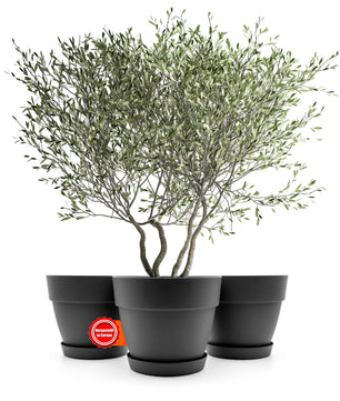 ecomposer-farbe-anthrazit,ecomposer-größe-durchmesser40cm