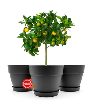 3 Stück Blumentopf mit Untersetzer rund ø47 cm in Anthrazit – Übertopf innen + außen