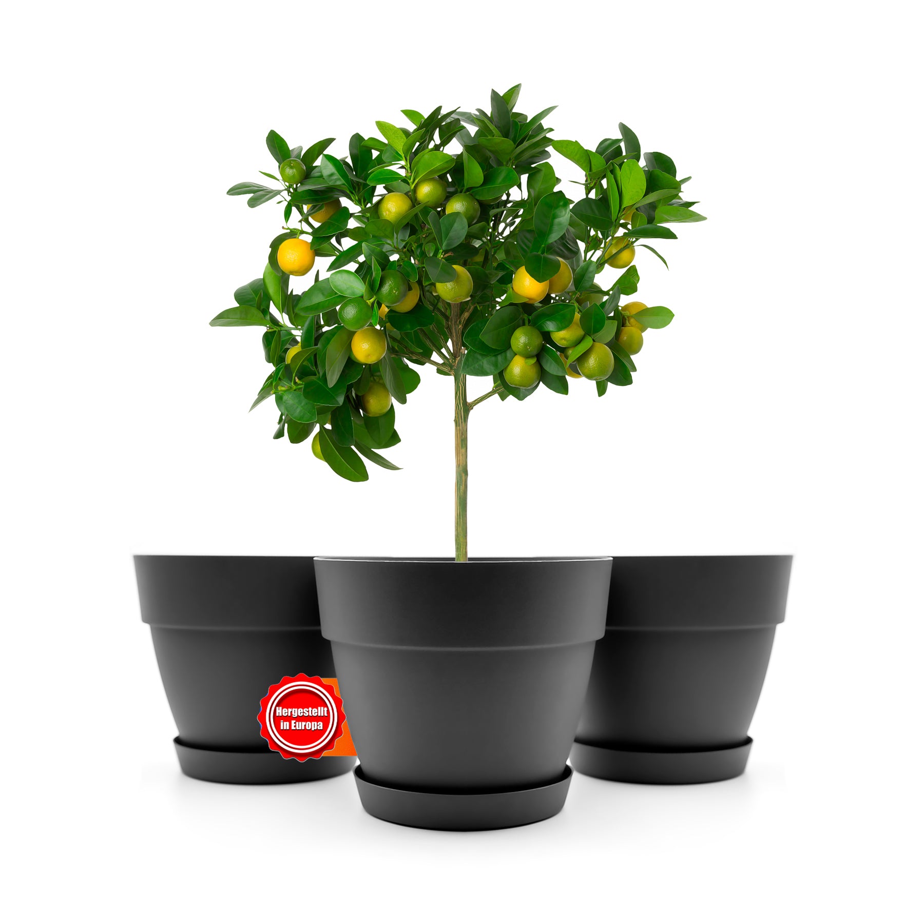 3 Stück Blumentopf mit Untersetzer rund ø47 cm in Anthrazit – Übertopf innen + außen