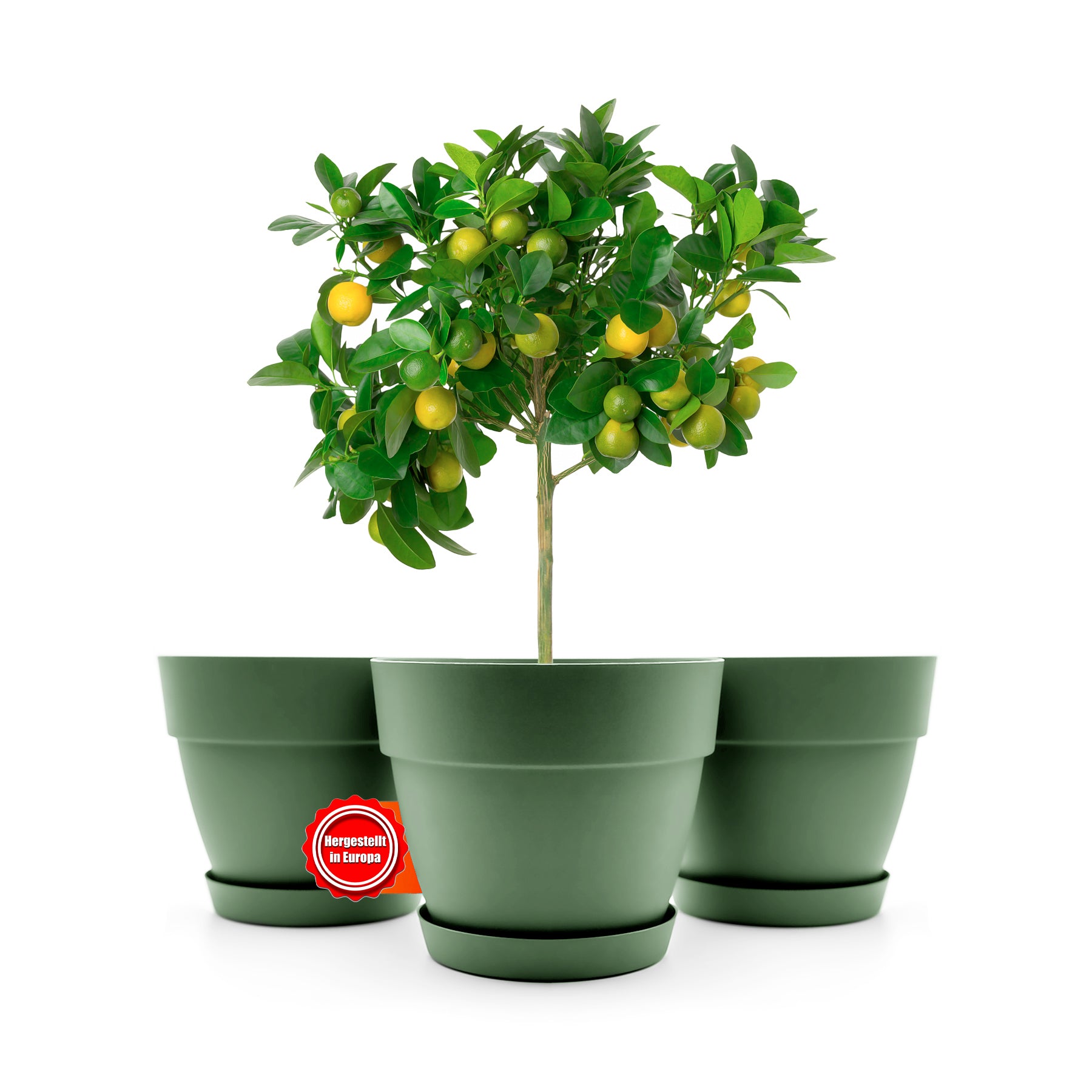 3 Stück Blumentopf mit Untersetzer rund ø47 cm in Olivgrün – Übertopf innen + außen geeignet – aus bruchsicherem Kunststoff & Made in Europe