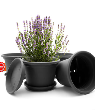 4 Stück Blumentopf mit Untersetzer rund ø 25 cm Anthrazit – wetterfester Pflanzkübel Made in