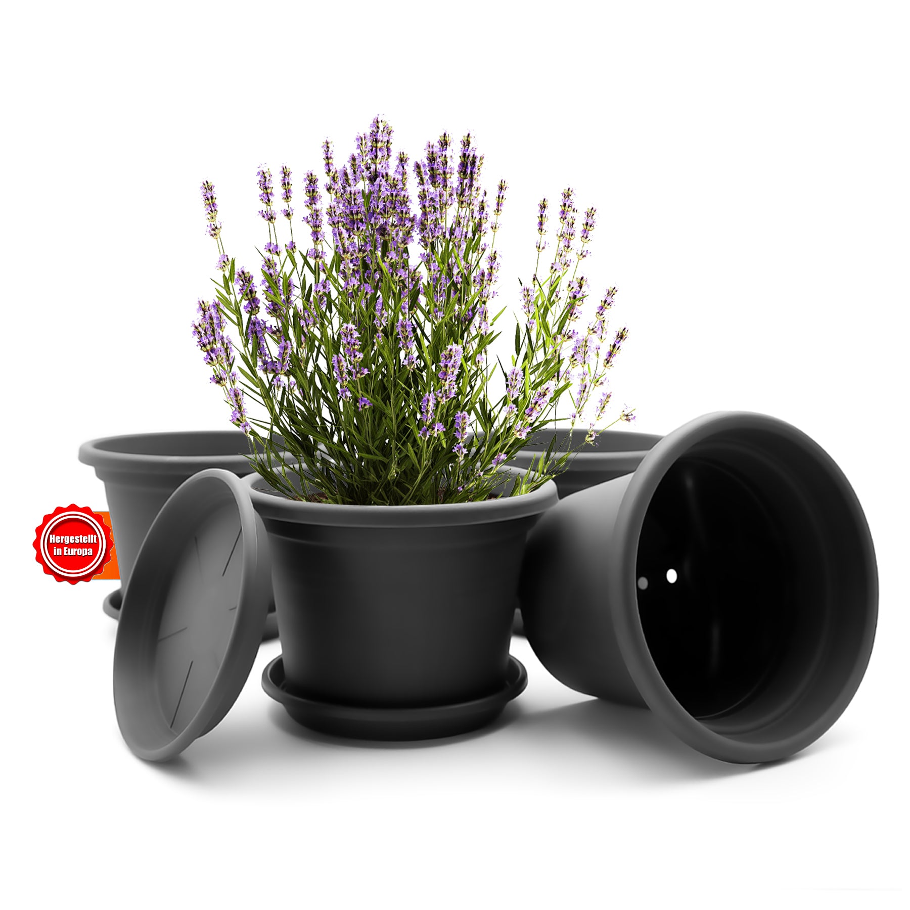 4 Stück Blumentopf mit Untersetzer rund ø 25 cm Anthrazit – wetterfester Pflanzkübel Made in