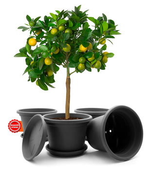 ecomposer-farbe-anthrazit,ecomposer-größe-durchmesser35cm