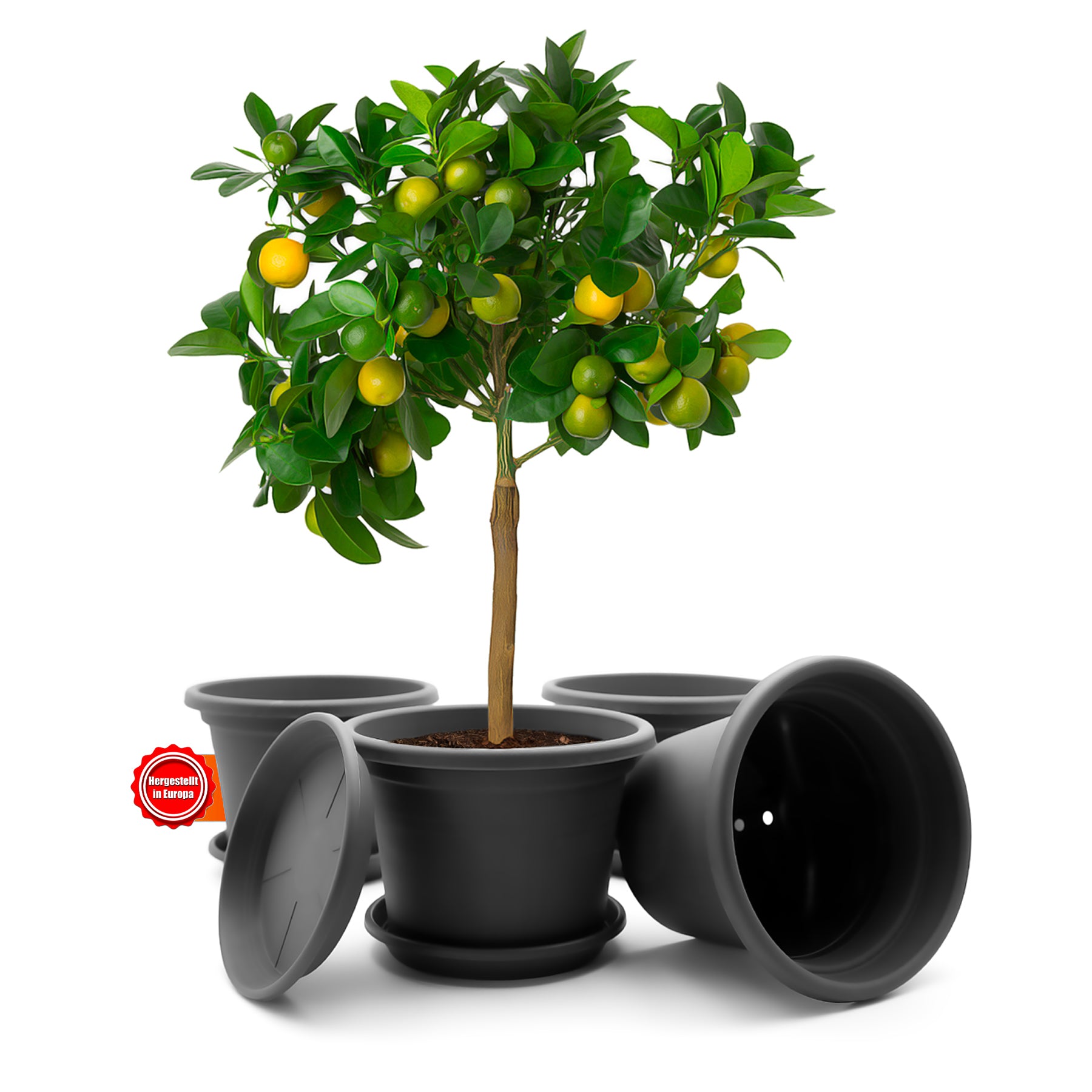 ecomposer-farbe-anthrazit,ecomposer-größe-durchmesser35cm