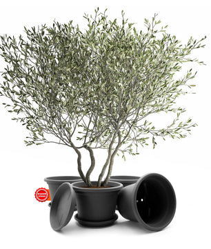 ecomposer-farbe-anthrazit,ecomposer-größe-durchmesser40cm