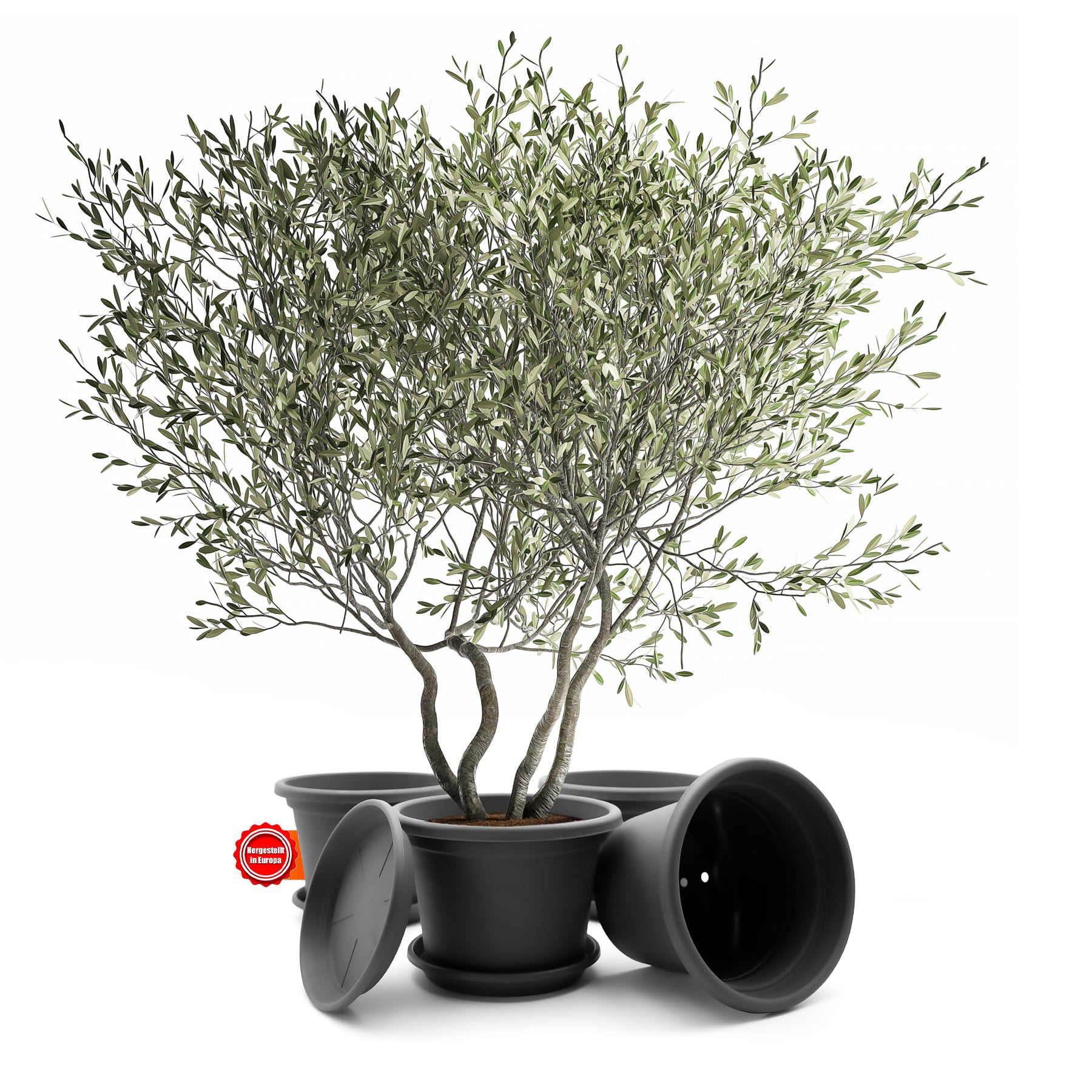 ecomposer-farbe-anthrazit,ecomposer-größe-durchmesser40cm