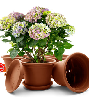 4 Stück Blumentopf mit Untersetzer rund ø 20 cm Terracotta – wetterfester Pflanzkübel