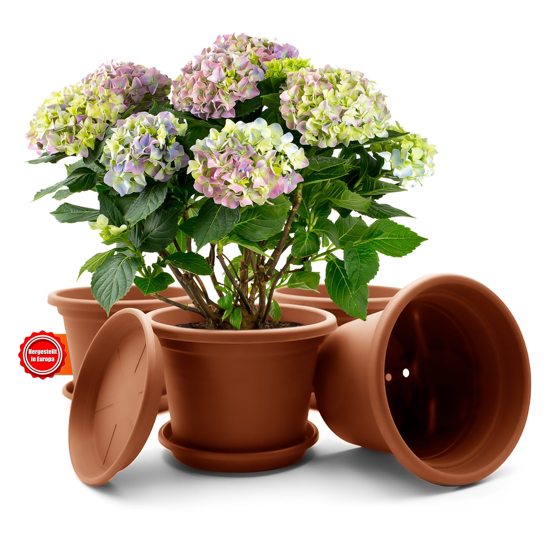 4 Stück Blumentopf mit Untersetzer rund ø 20 cm Terracotta – wetterfester Pflanzkübel