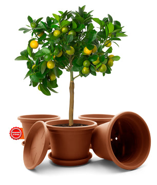 4 Stück Blumentopf mit Untersetzer rund ø 35 cm Terracotta – wetterfester Pflanzkübel
