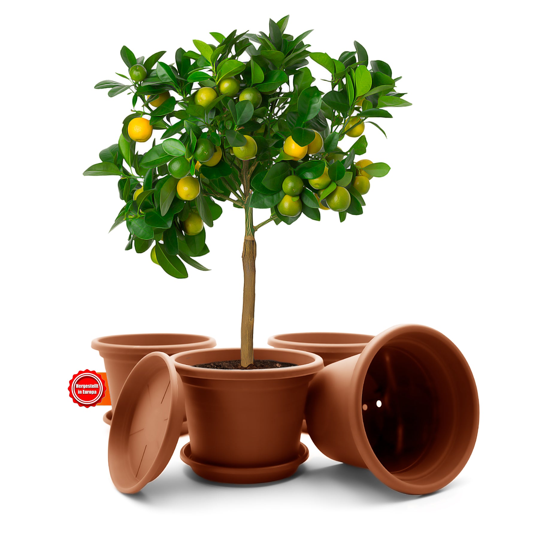 4 Stück Blumentopf mit Untersetzer rund ø 35 cm Terracotta – wetterfester Pflanzkübel