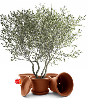 4 Stück Blumentopf mit Untersetzer rund ø 40 cm Terracotta – wetterfester Pflanzkübel 2