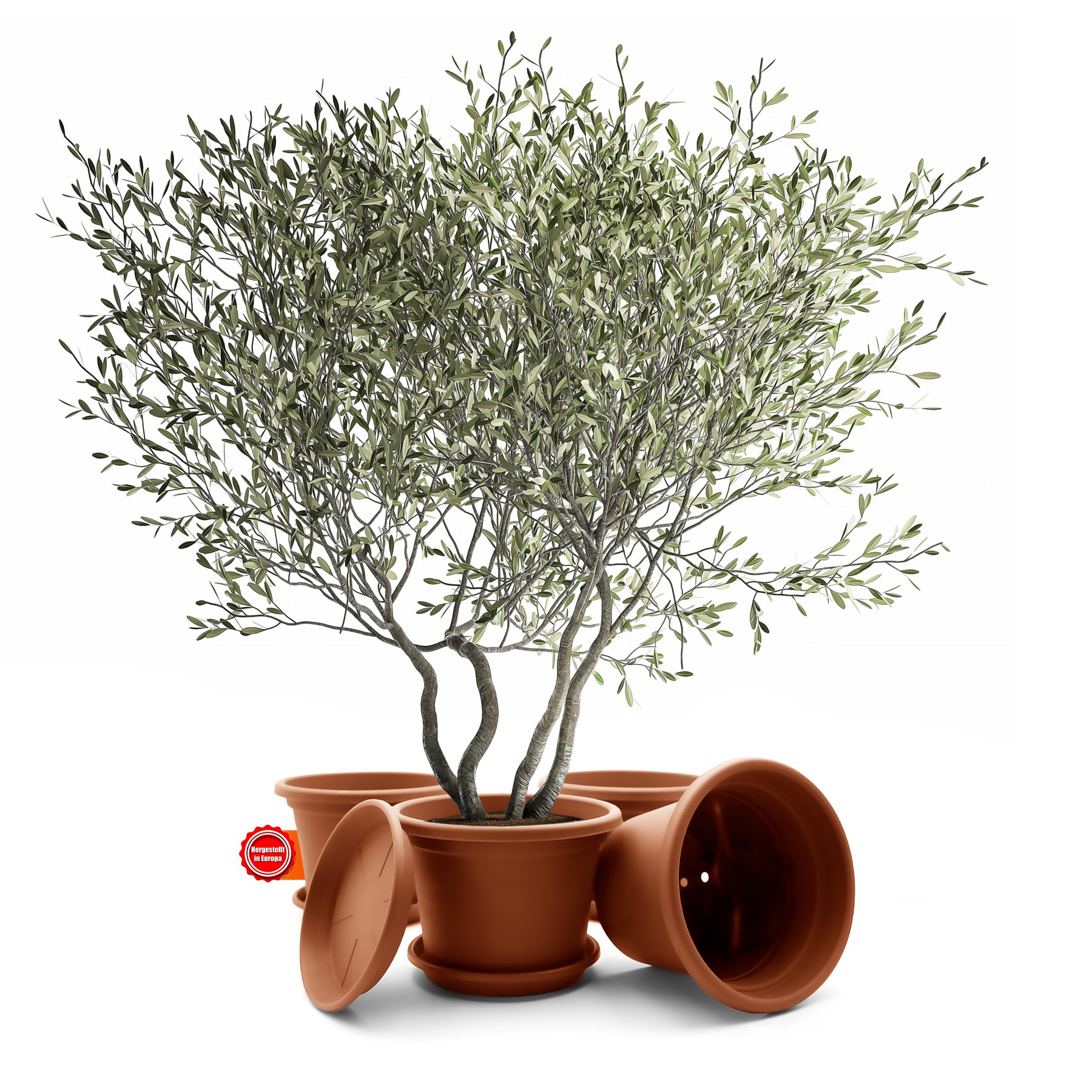 4 Stück Blumentopf mit Untersetzer rund ø 40 cm Terracotta – wetterfester Pflanzkübel 2