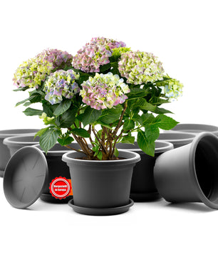 8 Stück Blumentopf mit Untersetzer rund ø 20 cm Anthrazit – wetterfester Pflanzkübel Made in Europe