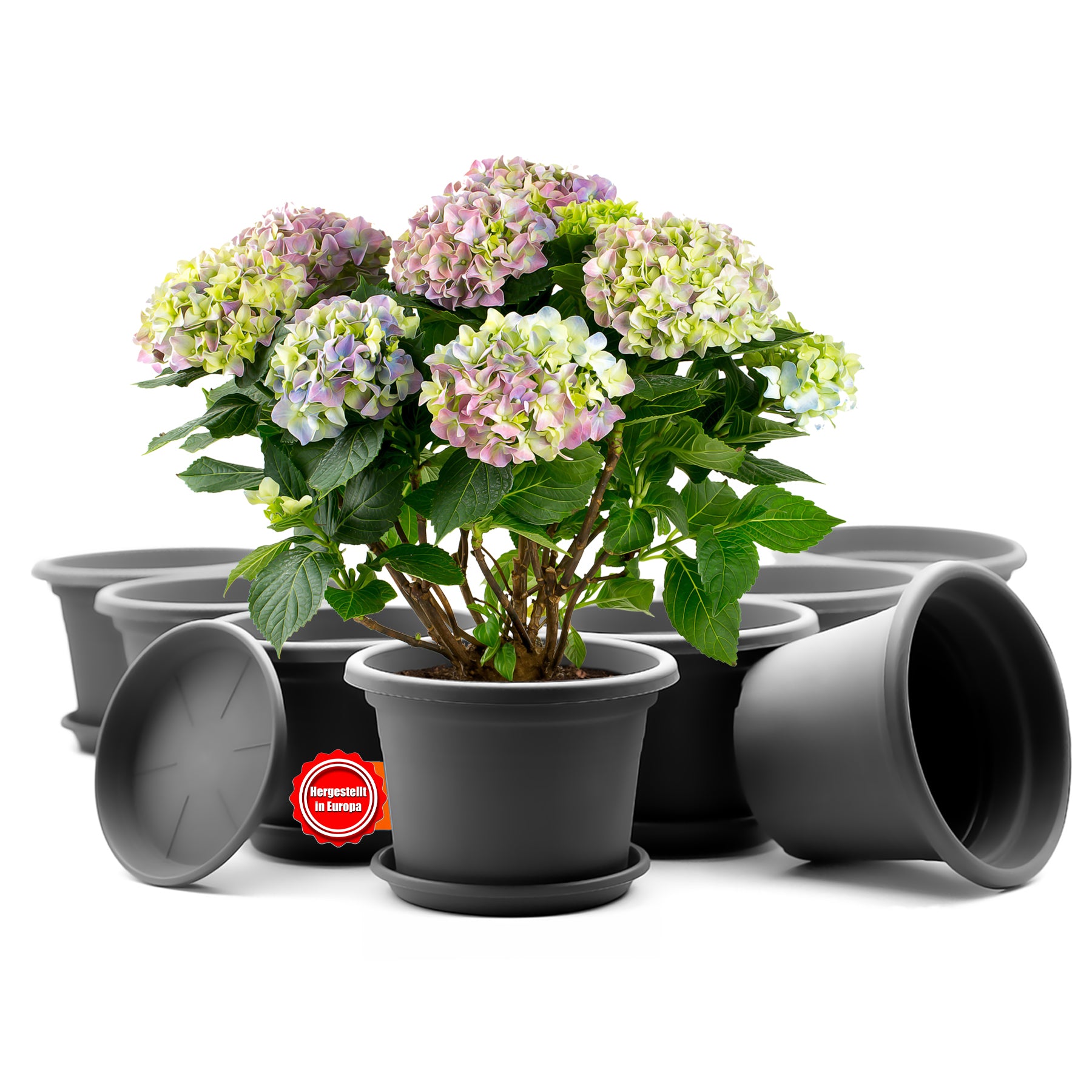8 Stück Blumentopf mit Untersetzer rund ø 20 cm Anthrazit – wetterfester Pflanzkübel Made in Europe