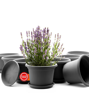 8 Stück Blumentopf mit Untersetzer rund ø 25 cm Anthrazit – wetterfester Pflanzkübel Made in Europe