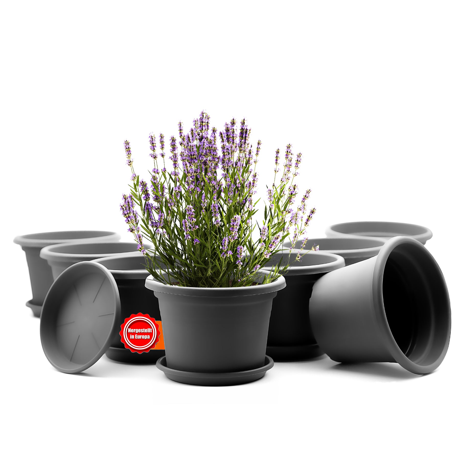 8 Stück Blumentopf mit Untersetzer rund ø 25 cm Anthrazit – wetterfester Pflanzkübel Made in Europe