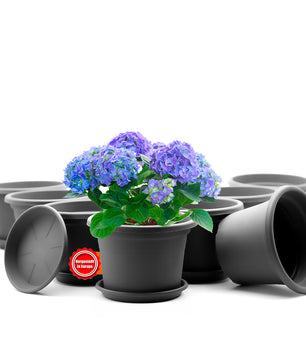 8 Stück Blumentopf mit Untersetzer rund ø 30 cm Anthrazit – wetterfester Pflanzkübel Made in Europe