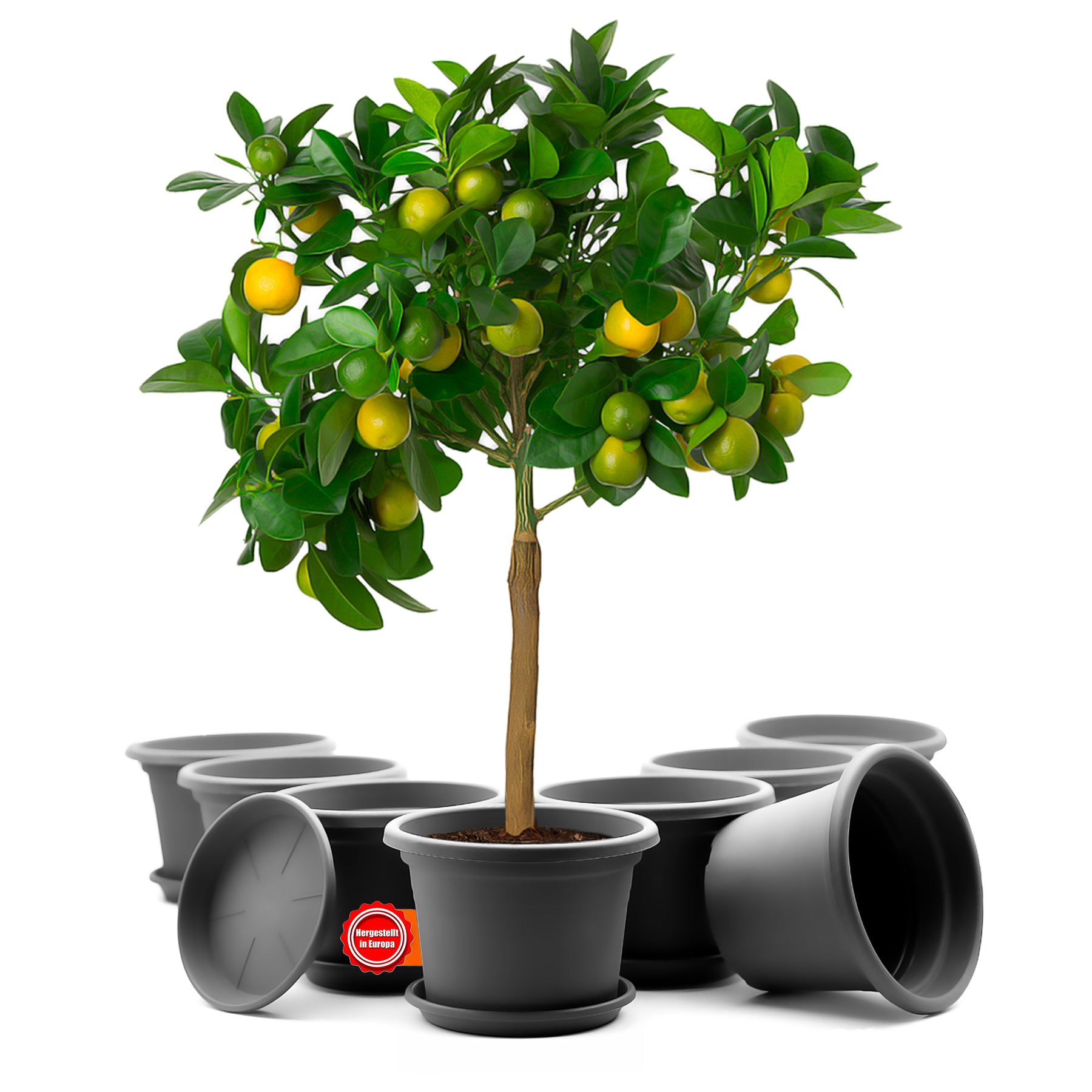 ecomposer-farbe-anthrazit,ecomposer-größe-durchmesser35cm