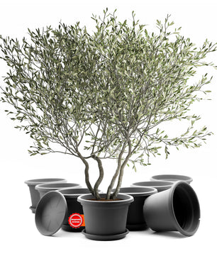 ecomposer-farbe-anthrazit,ecomposer-größe-durchmesser40cm