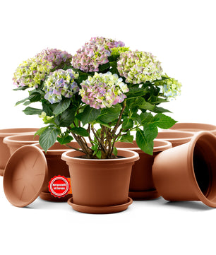 8 Stück Blumentopf mit Untersetzer rund ø 20 cm Terrakotta– wetterfester Pflanzkübel Made in Europe