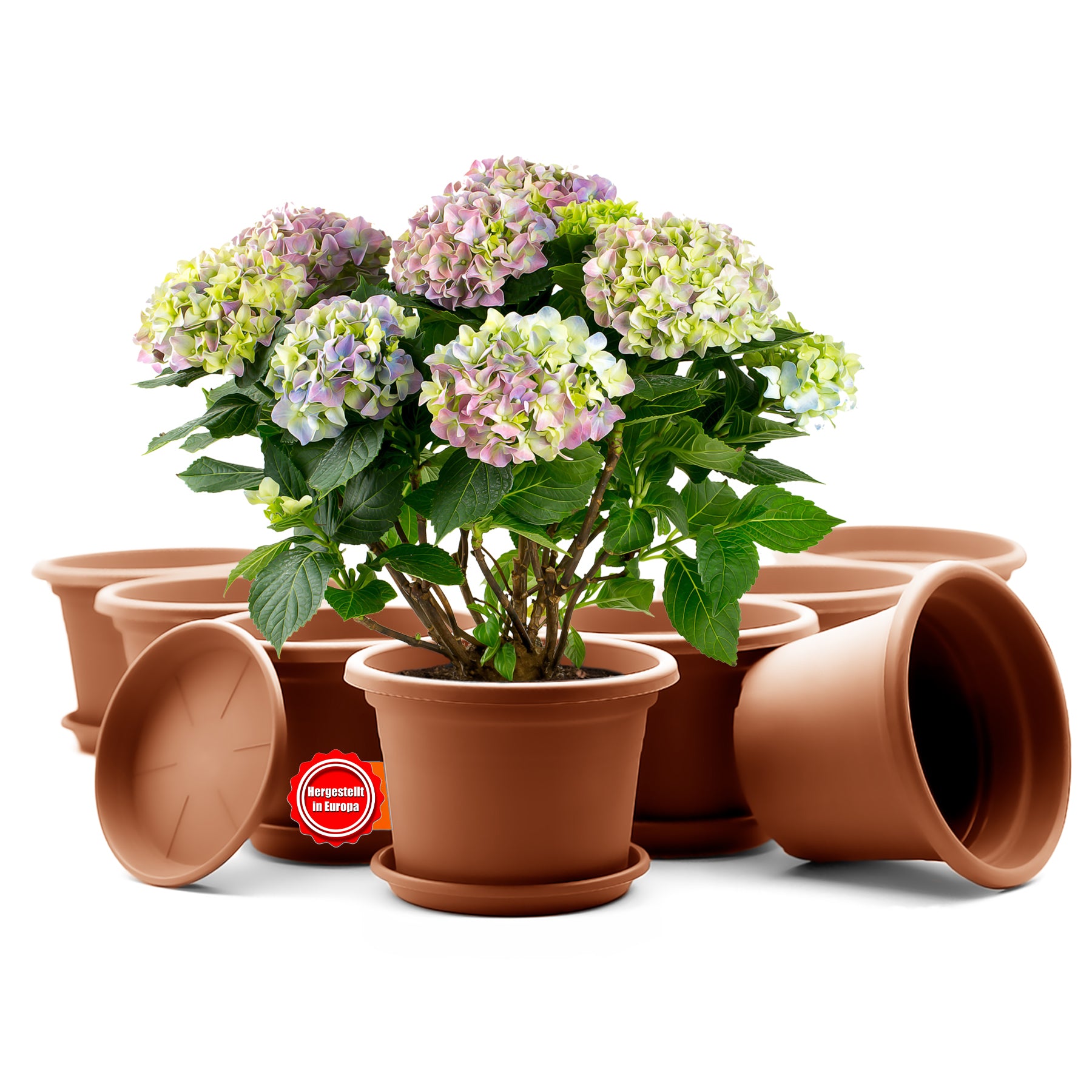 8 Stück Blumentopf mit Untersetzer rund ø 20 cm Terrakotta– wetterfester Pflanzkübel Made in Europe