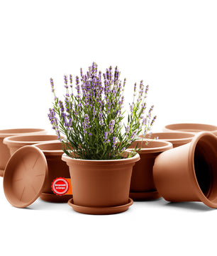 8 Stück Blumentopf mit Untersetzer rund ø 25 cm Terrakotta – wetterfester Pflanzkübel Made in Europe