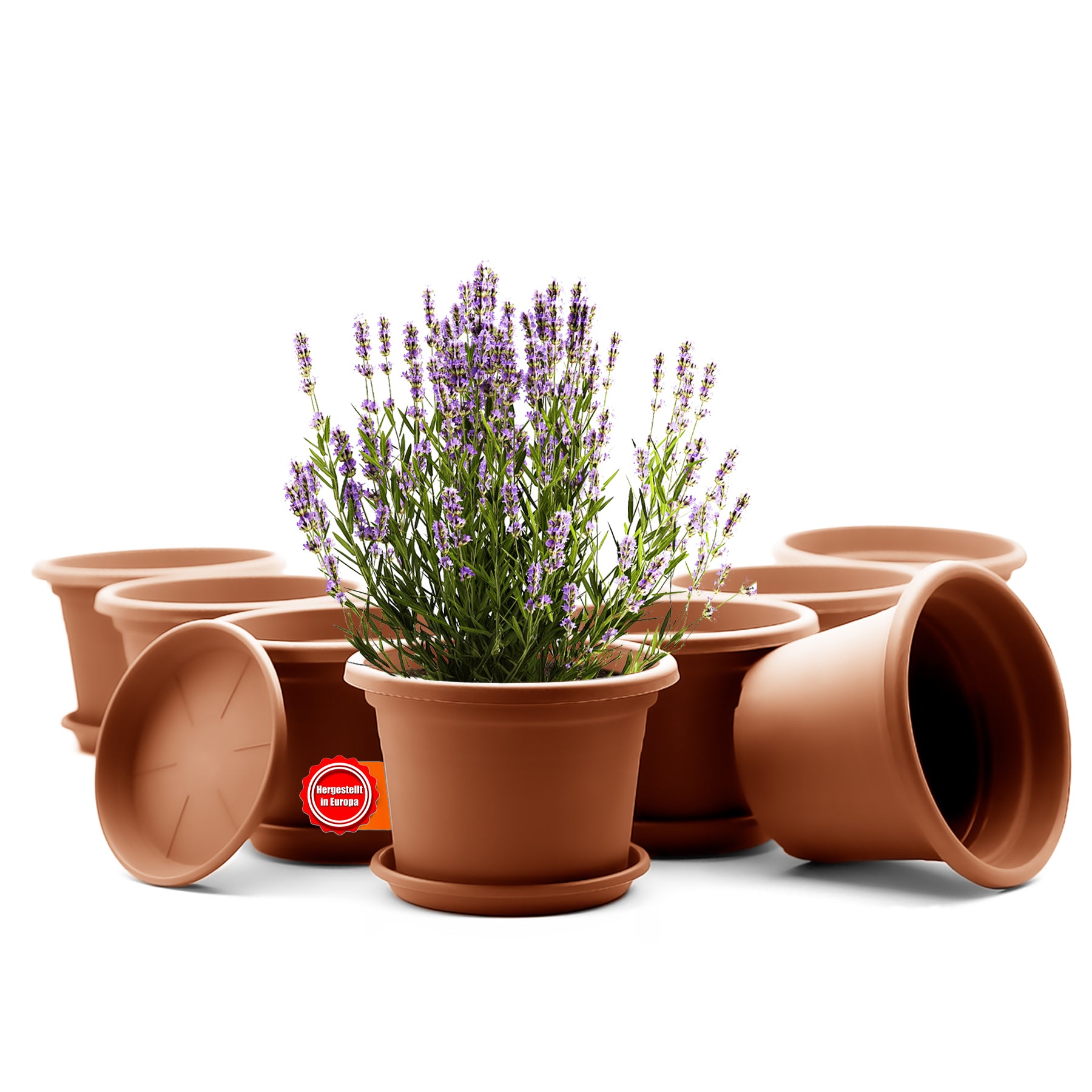 8 Stück Blumentopf mit Untersetzer rund ø 25 cm Terrakotta – wetterfester Pflanzkübel Made in Europe