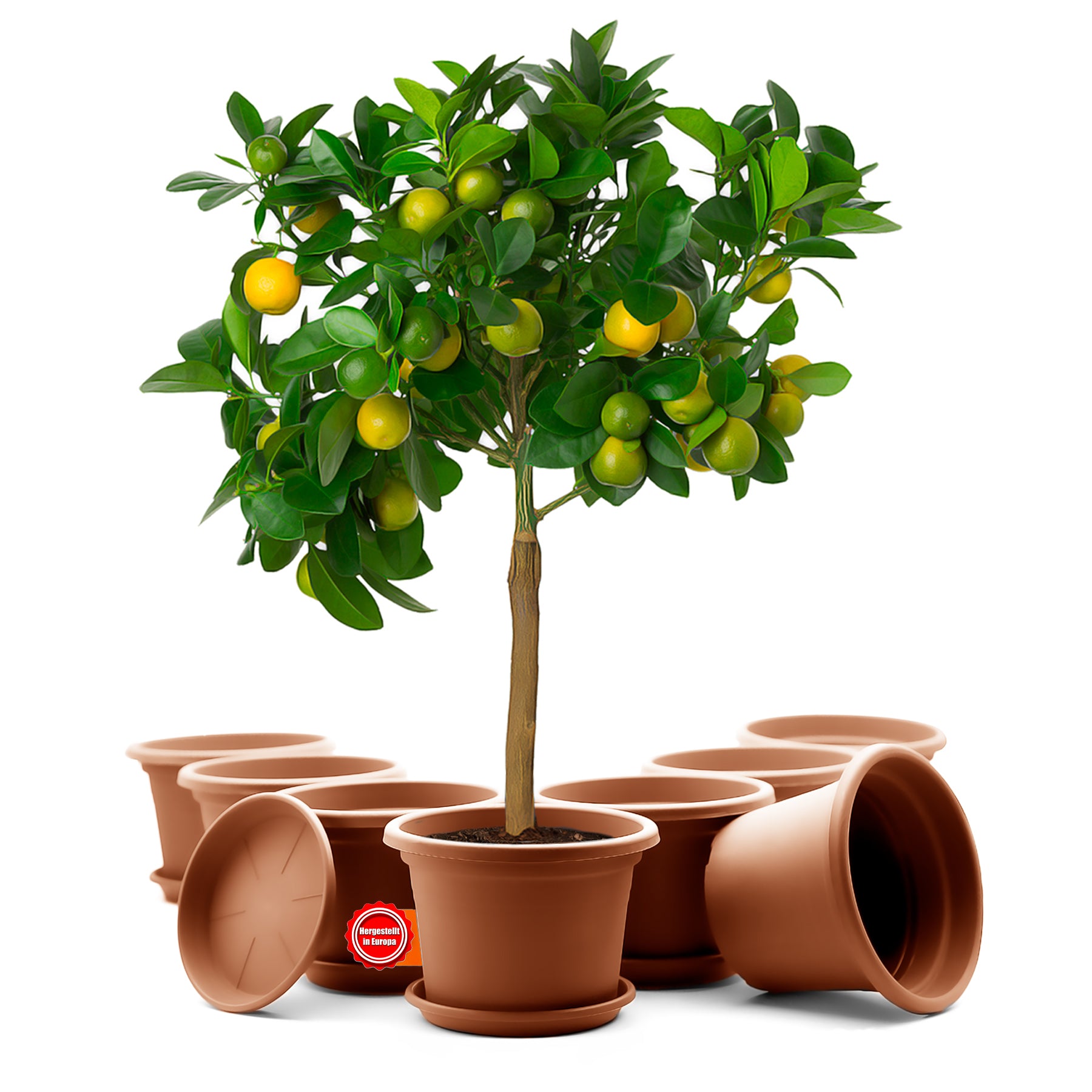 8 Stück Blumentopf mit Untersetzer rund ø 35 cm Terrakotta – wetterfester Pflanzkübel Made in Europe