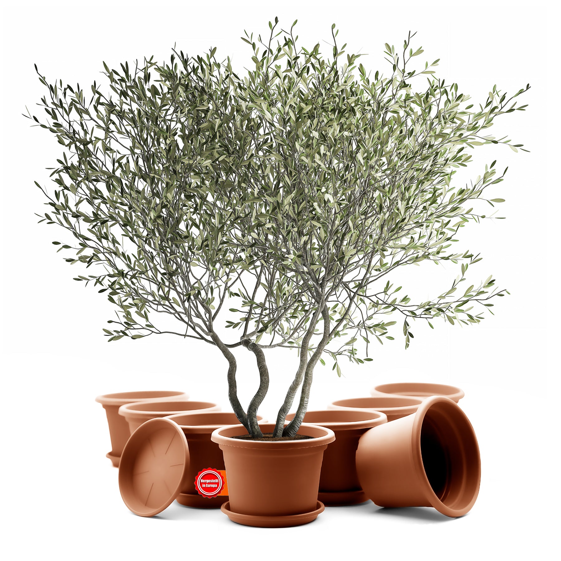 8 Stück Blumentopf mit Untersetzer rund ø 40 cm Terrakotta – wetterfester Pflanzkübel Made in Europe 2