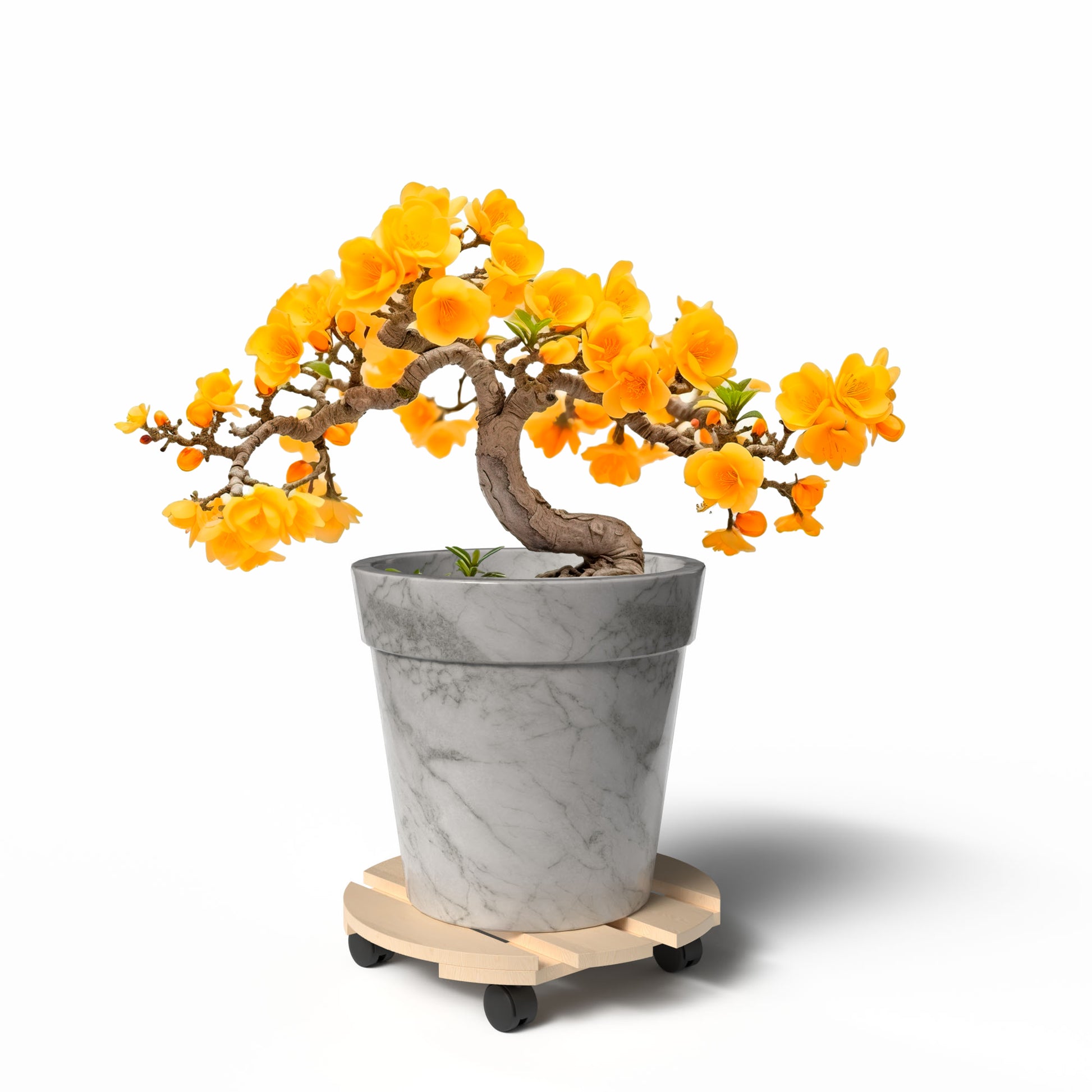 Pflanzenroller Holz Rund 30 cm - 120 Kg belastbar Rolluntersetzer aus Buchenholz Indoor & Outdoor Blumentopf Untersetzer mit Rollen