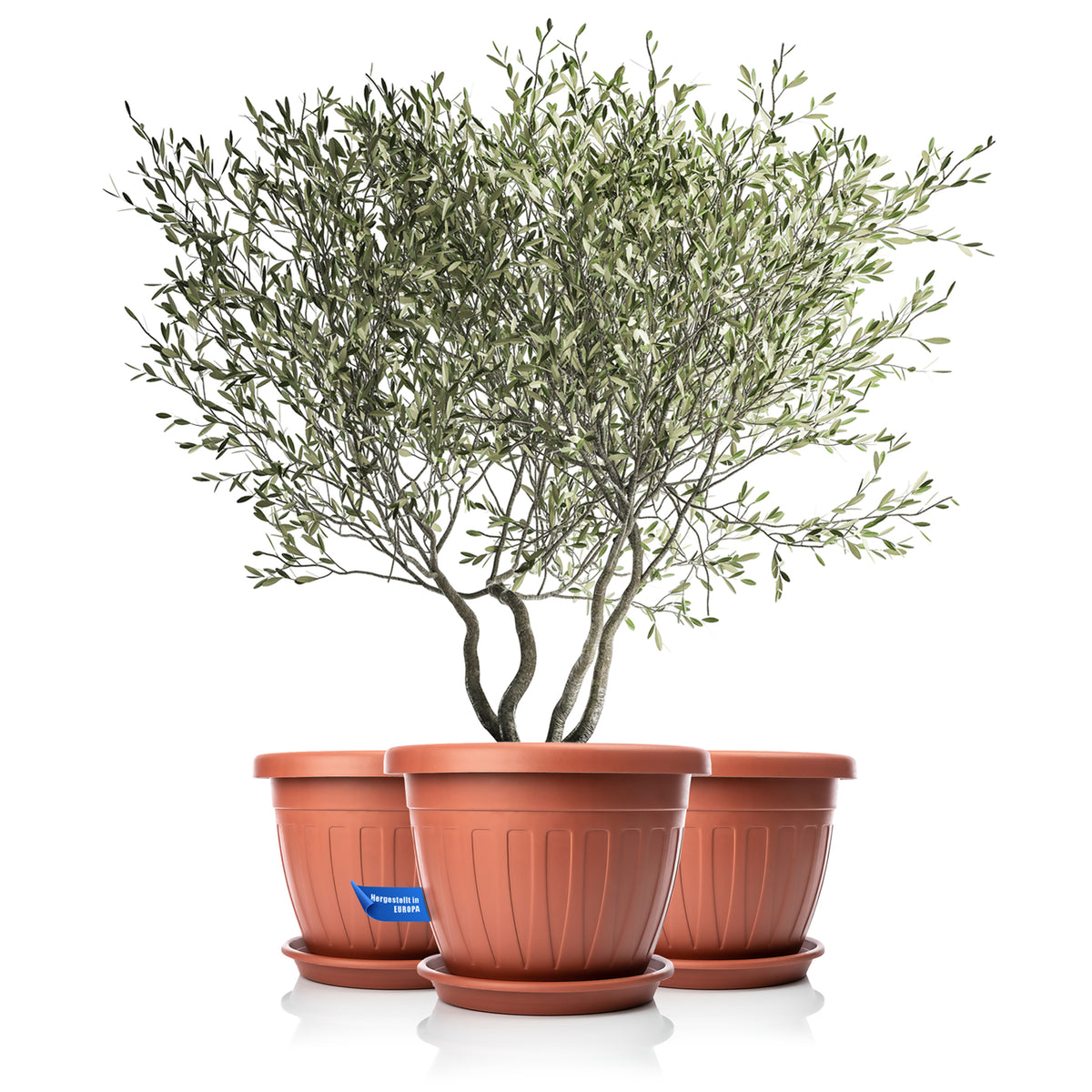 BigDean 50cm Blumentopf mit Untersetzer rund Terracotta - wetterfester Pflanzkübel - Wasserablauf UV-beständig aus bruchsicherem Kunststoff - Innen + Außen geeignet - Made in Europe image 2