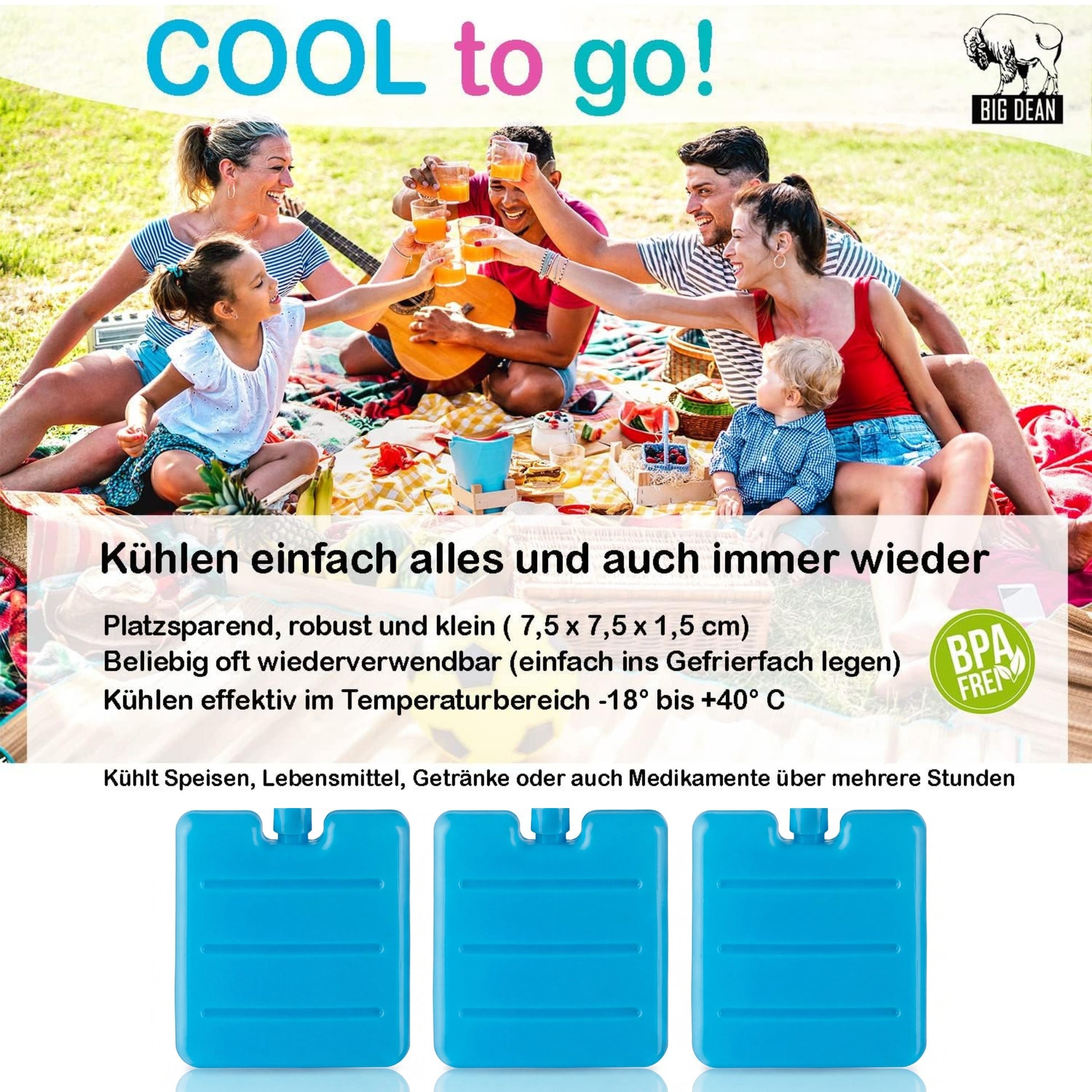 12er Set Kleine Kühlakkus - Mini Kühl-Elemente für die Kühltasche - Kühl-Akku für die Brotdose 2